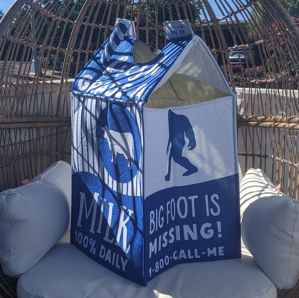 Milk Carton Costume by Hyde & EEK! Boutique